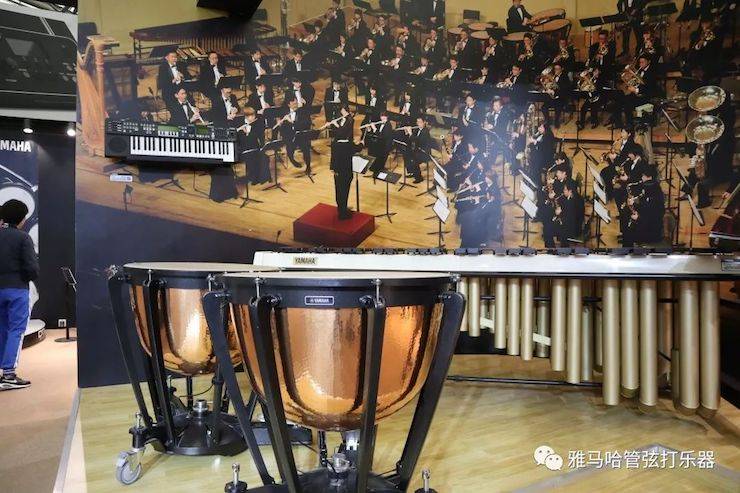 摩斯国际乐器 试奏乐器