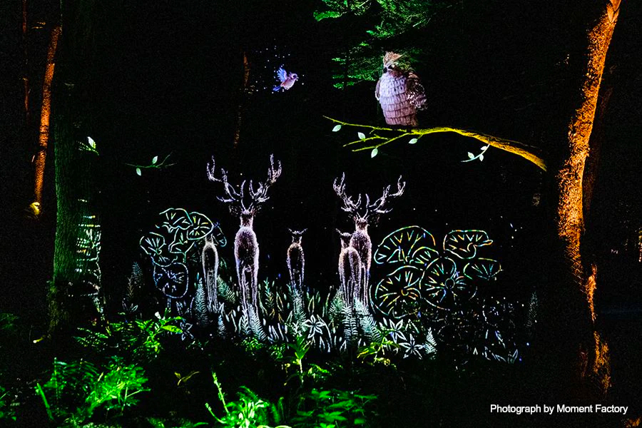 案例｜摩斯国际为壮观的Kamuy Lumina魔法夜行旅游项目提供配乐设备